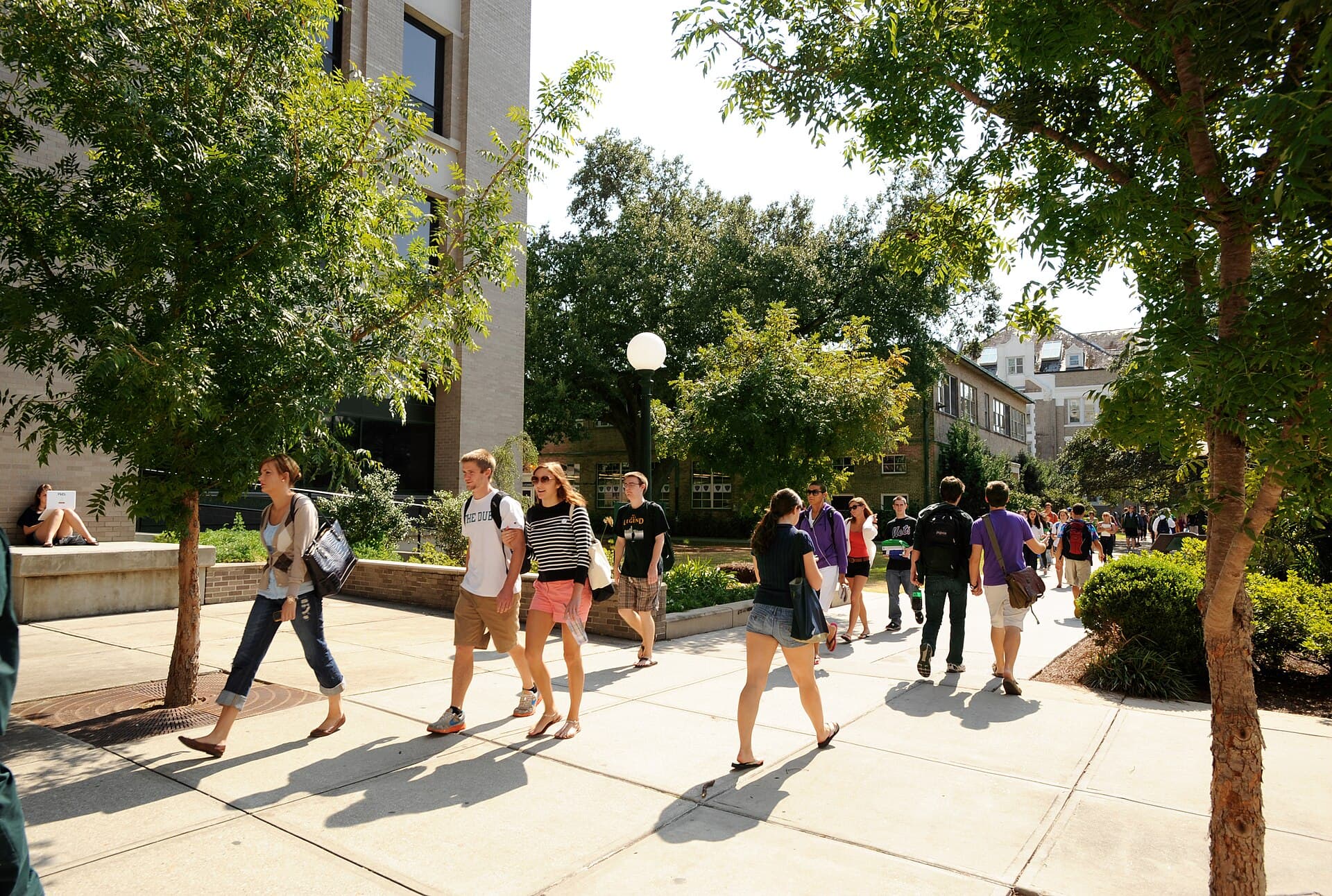 Students walking together on an international university campus